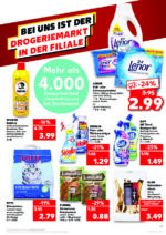 Kaufland Werbeprospekt mit neuen Angeboten (29/76)