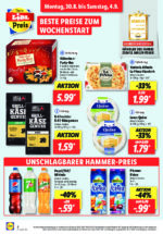 Lidl Werbeprospekt mit neuen Angeboten (120/169)