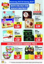 Lidl Werbeprospekt mit neuen Angeboten (92/169)